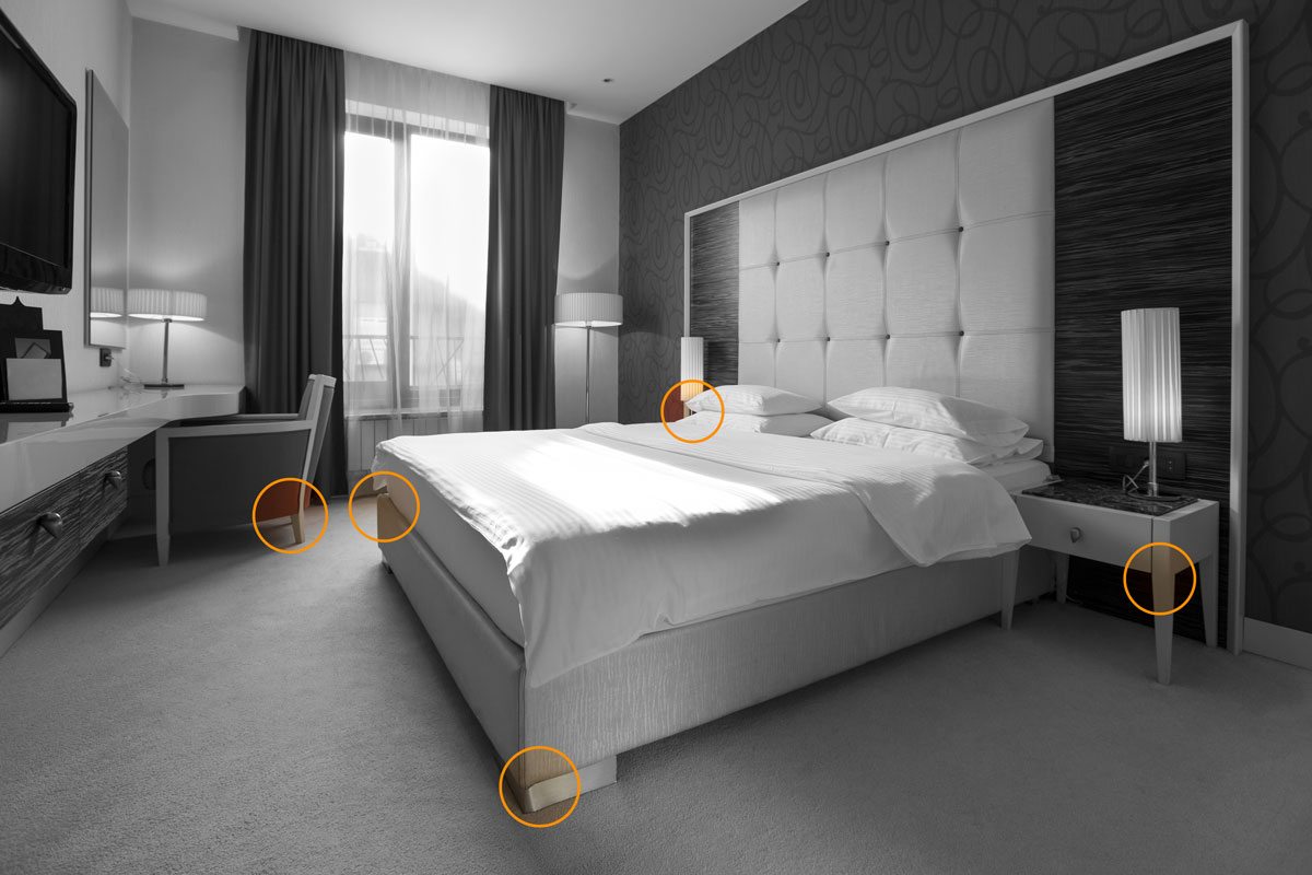 Bed Bugs in your hotel - Pronto Pest Management