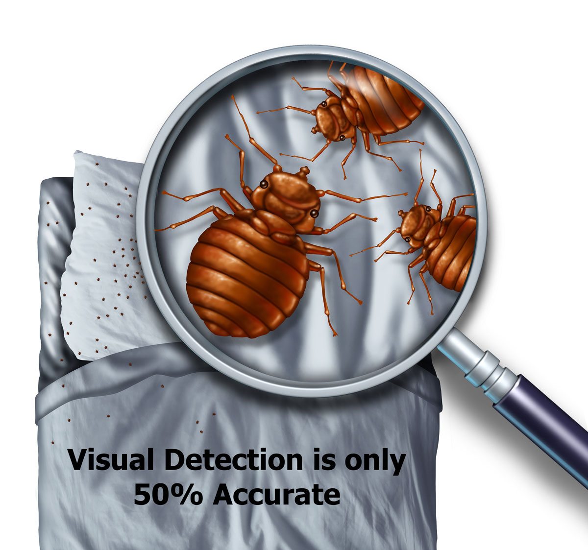 Visual Bed Bug detection is only 50% accurate