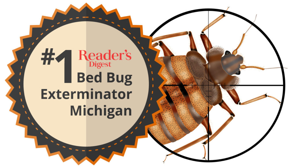 Reader's Digest Best Bed Bug Exterminator in Michigan