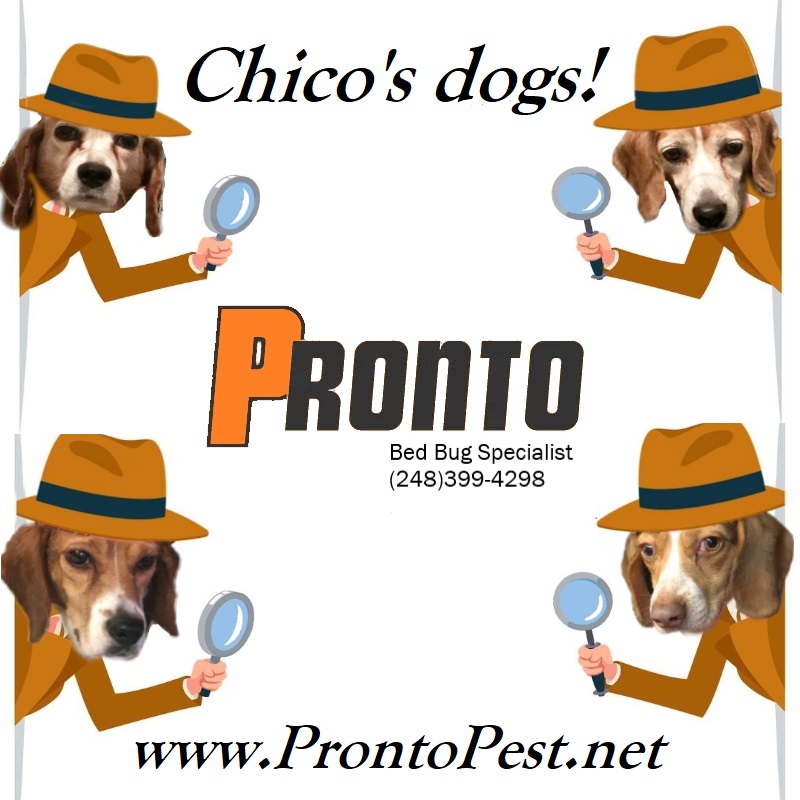 Chico Dog Detectives