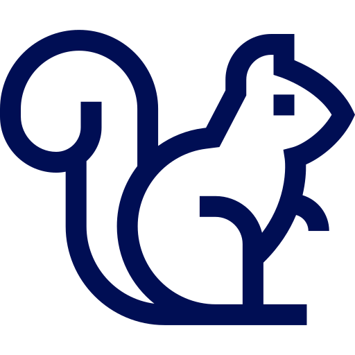 squirrel icon